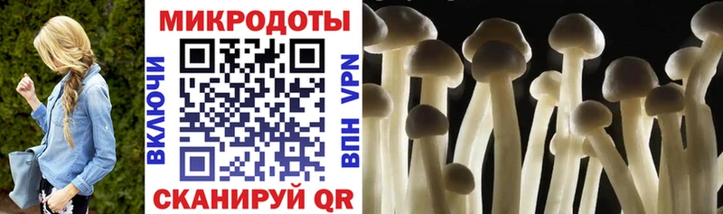 Псилоцибиновые грибы Cubensis  купить закладку  Истра 